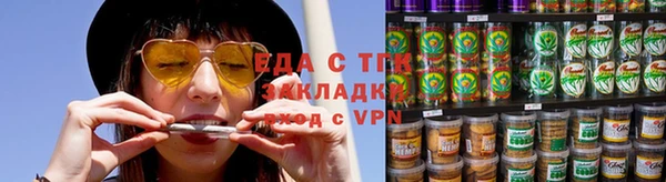 мет Алексин