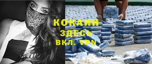 стаф Нефтегорск